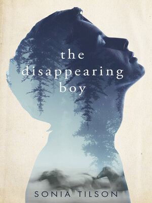 cover image of The Disappearing Boy